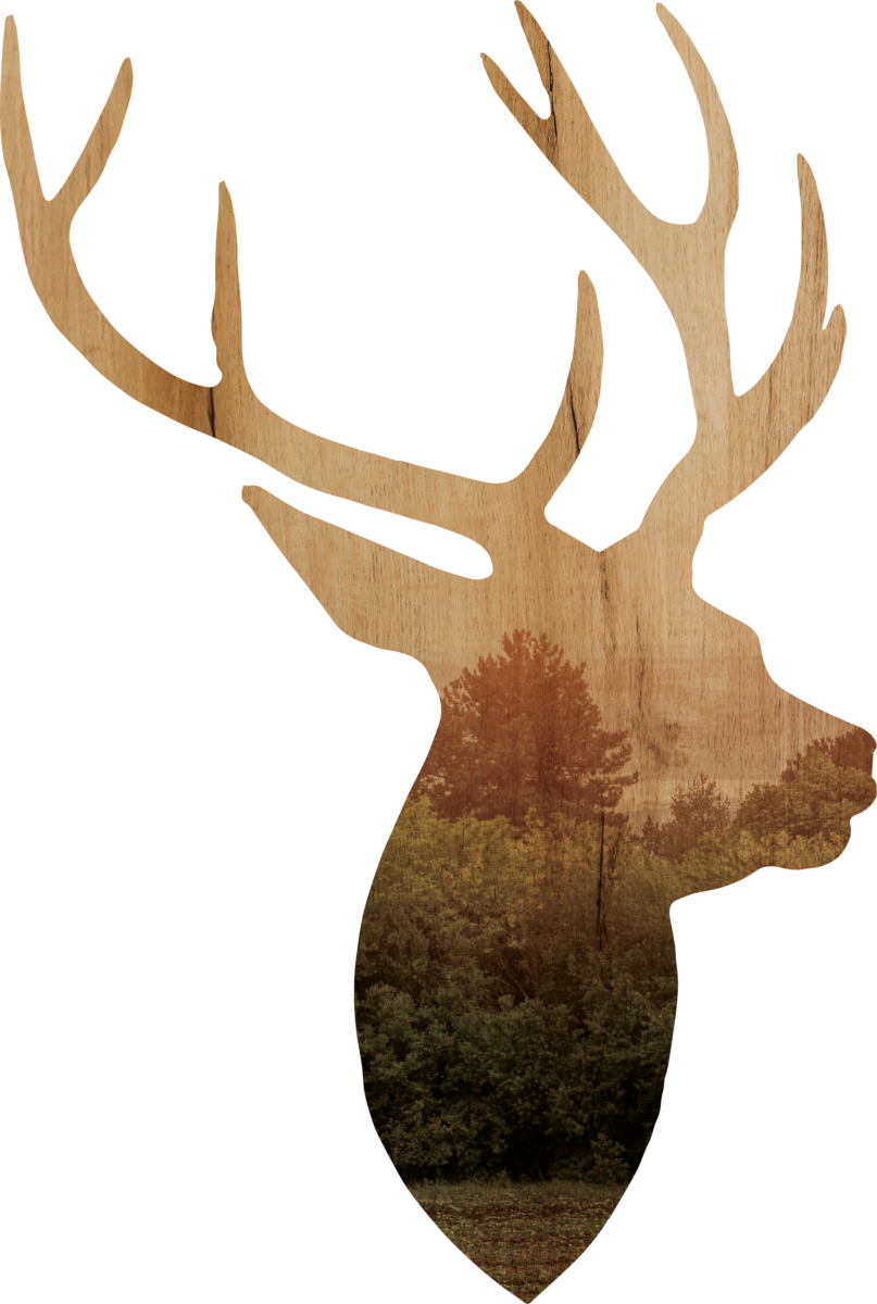 cerf_fond_bois